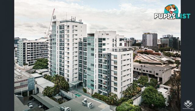 ID:21155291 16 Hamilton Place Bowen Hills QLD 4006