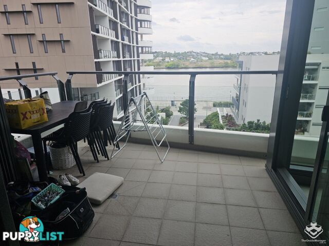 ID:21072620/37B Harbour Road Hamilton QLD 4007