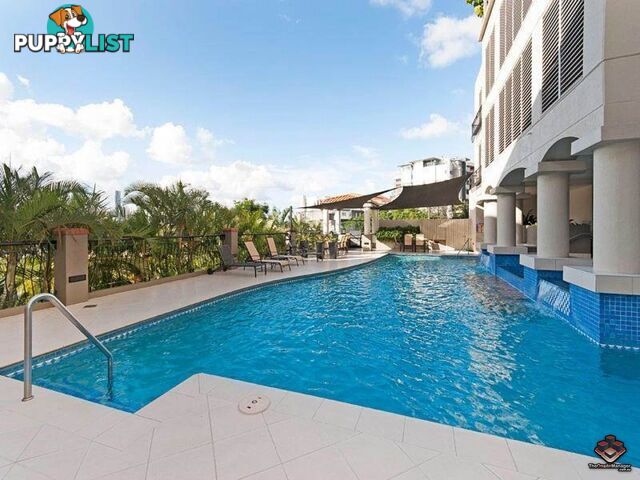 U43/260 Vulture Street South Brisbane QLD 4101