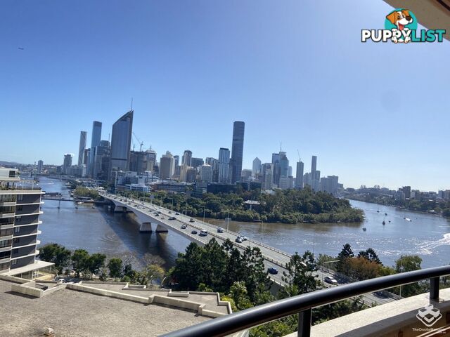 U43/260 Vulture Street South Brisbane QLD 4101