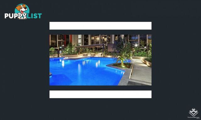 ID:21154842 11 Carriage Street Bowen Hills QLD 4006