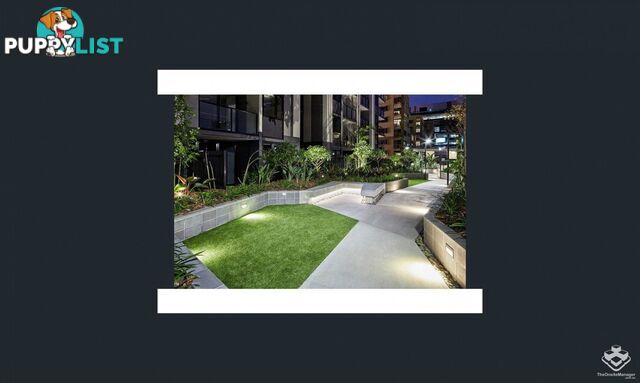 ID:21154842 11 Carriage Street Bowen Hills QLD 4006