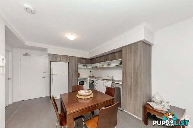 ID:21152875 4 Paddington Terrace Douglas QLD 4814