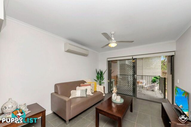 ID:21152875 4 Paddington Terrace Douglas QLD 4814