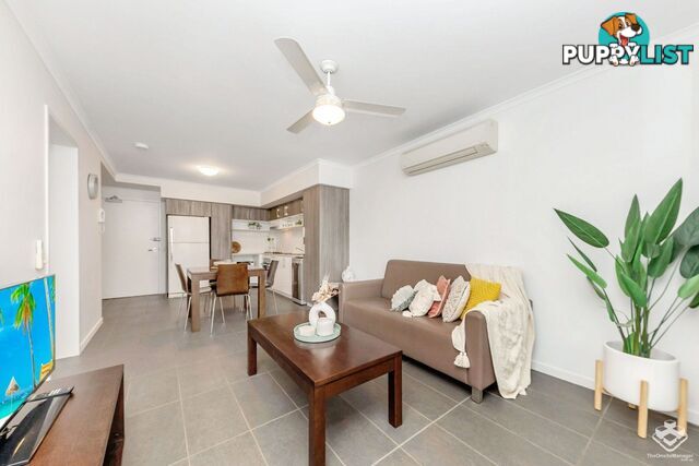 ID:21152875 4 Paddington Terrace Douglas QLD 4814