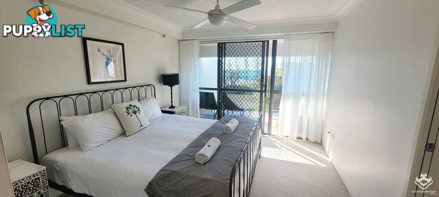 ID:21156464 45 Hayle Street Burleigh Heads QLD 4220