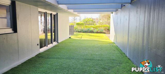 ID:21156464 45 Hayle Street Burleigh Heads QLD 4220