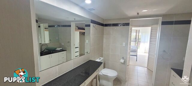 ID:21156464 45 Hayle Street Burleigh Heads QLD 4220