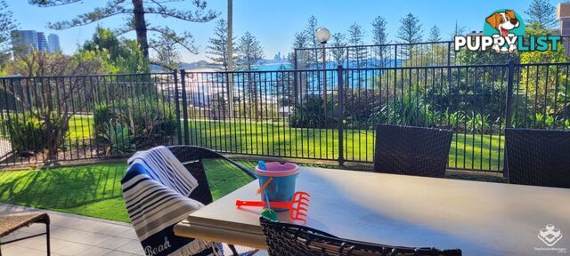 ID:21156464 45 Hayle Street Burleigh Heads QLD 4220