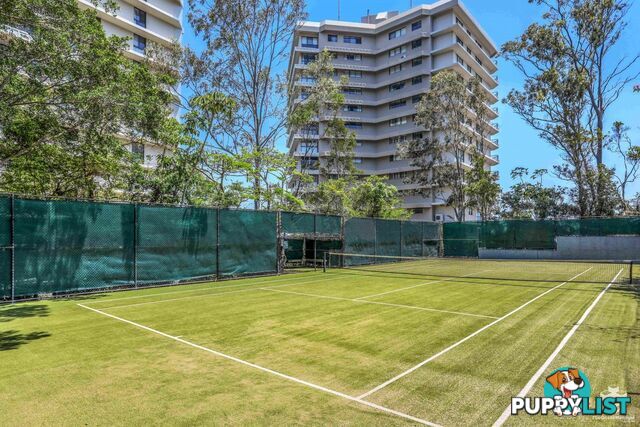 ID:21156464 45 Hayle Street Burleigh Heads QLD 4220
