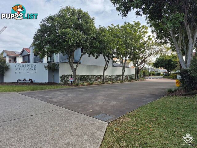 Corinda QLD 4075