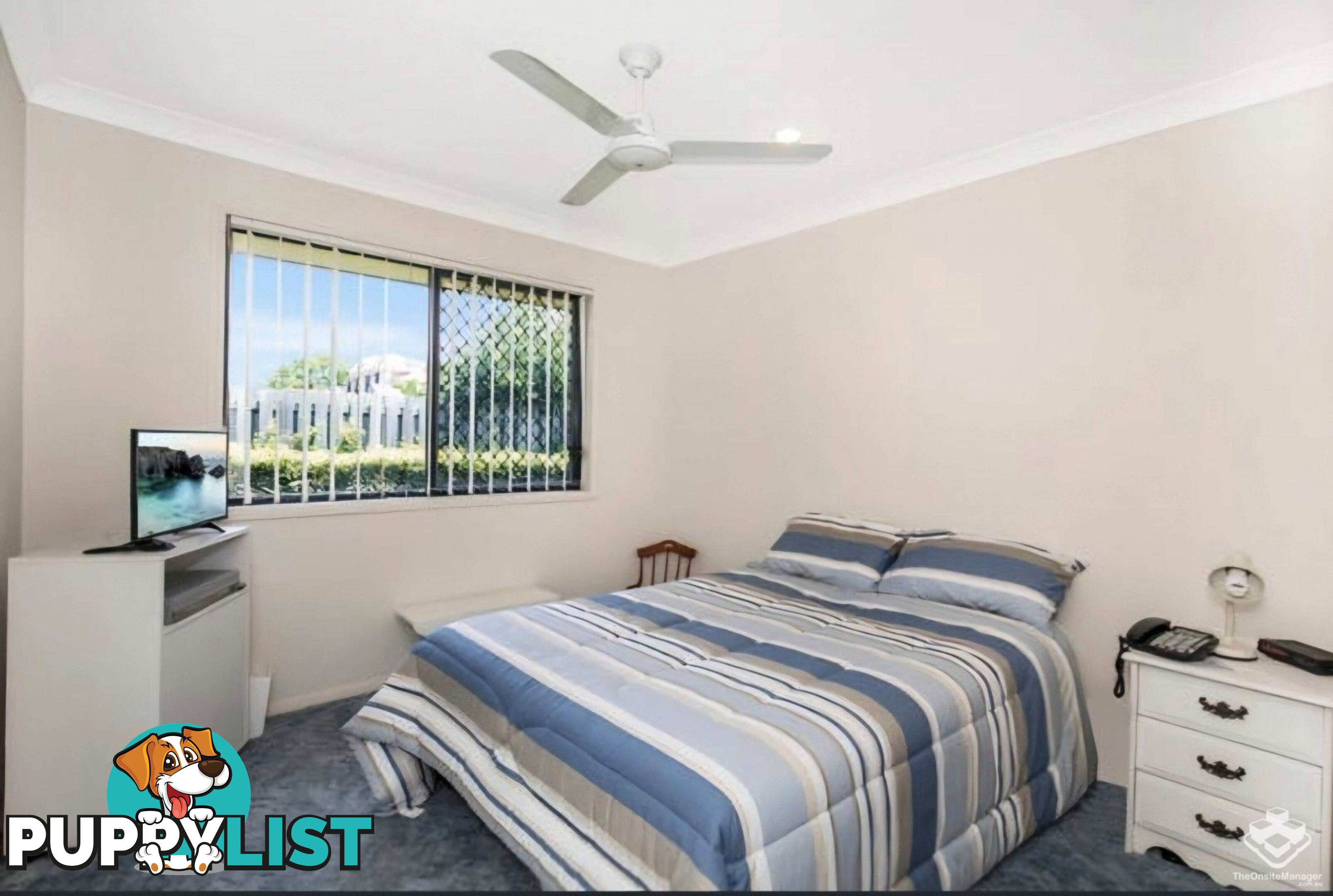 Corinda QLD 4075