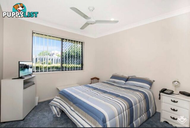 Corinda QLD 4075