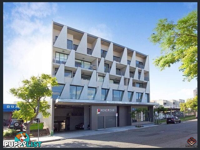 ID:3892506/77 Jurgens Street Woolloongabba QLD 4102