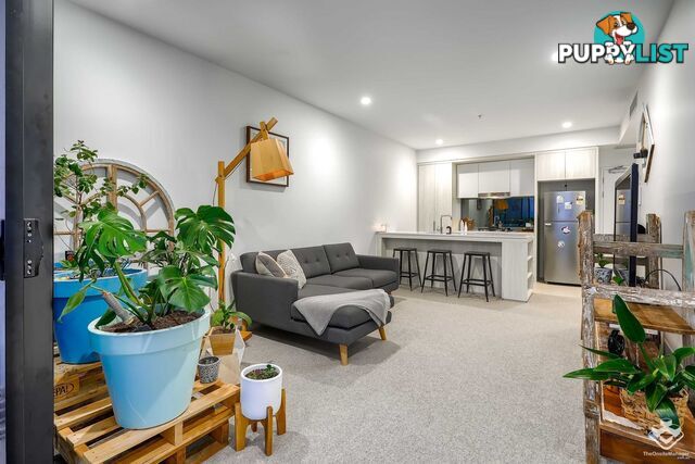 ID:21152110 12 Cunningham Street Newstead QLD 4006