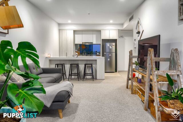 ID:21152110 12 Cunningham Street Newstead QLD 4006