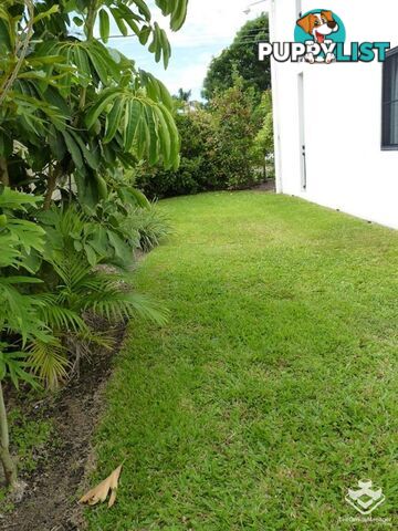 ID:21156645 6-24 Henry Street West End QLD 4810