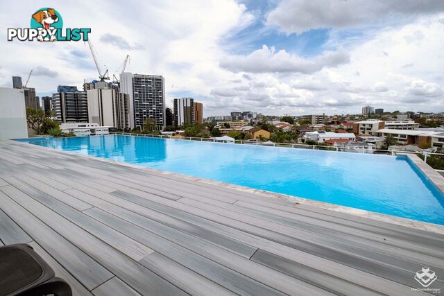 417/8 Bank Street West End QLD 4101