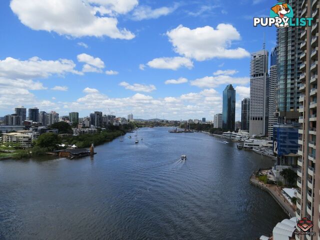 11A / 35 Howard Street Brisbane City QLD 4000