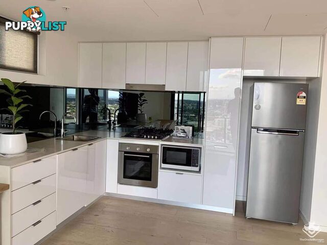 ID:21154793 22 Merivale Street South Brisbane QLD 4101