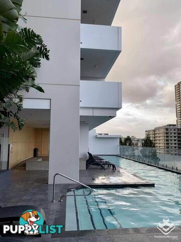 ID:21154793 22 Merivale Street South Brisbane QLD 4101