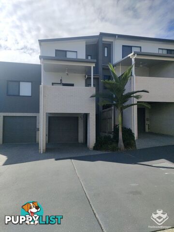 ID:21144743 40 Bunya Road Everton Hills QLD 4053