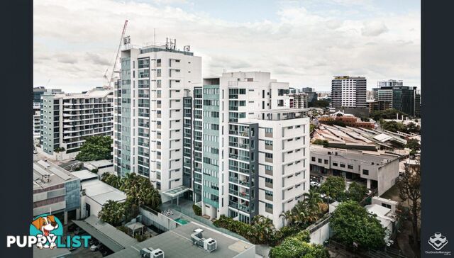 ID:21156251 16 Hamilton Place Bowen Hills QLD 4006
