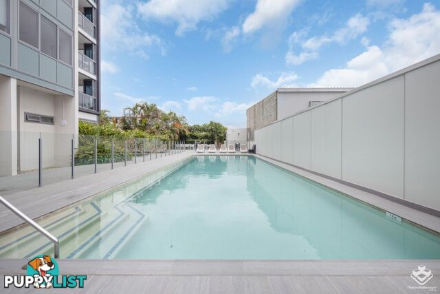 ID:21156251 16 Hamilton Place Bowen Hills QLD 4006