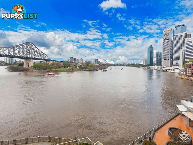 ID:3866448/32 Macrossan Street Brisbane City QLD 4000