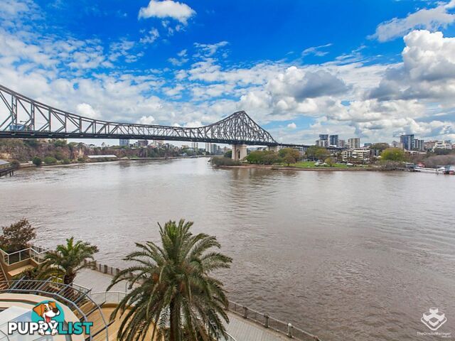 ID:3866448/32 Macrossan Street Brisbane City QLD 4000