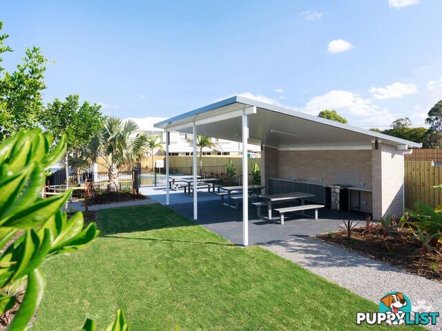 ID:21156924 10 Weyers Road Nudgee QLD 4014
