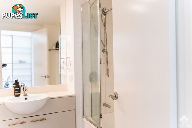 ID:21156891 51 Hope Street Spring Hill QLD 4000