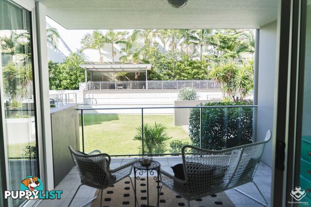 ID:21156891 51 Hope Street Spring Hill QLD 4000
