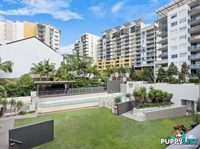 ID:21156891 51 Hope Street Spring Hill QLD 4000