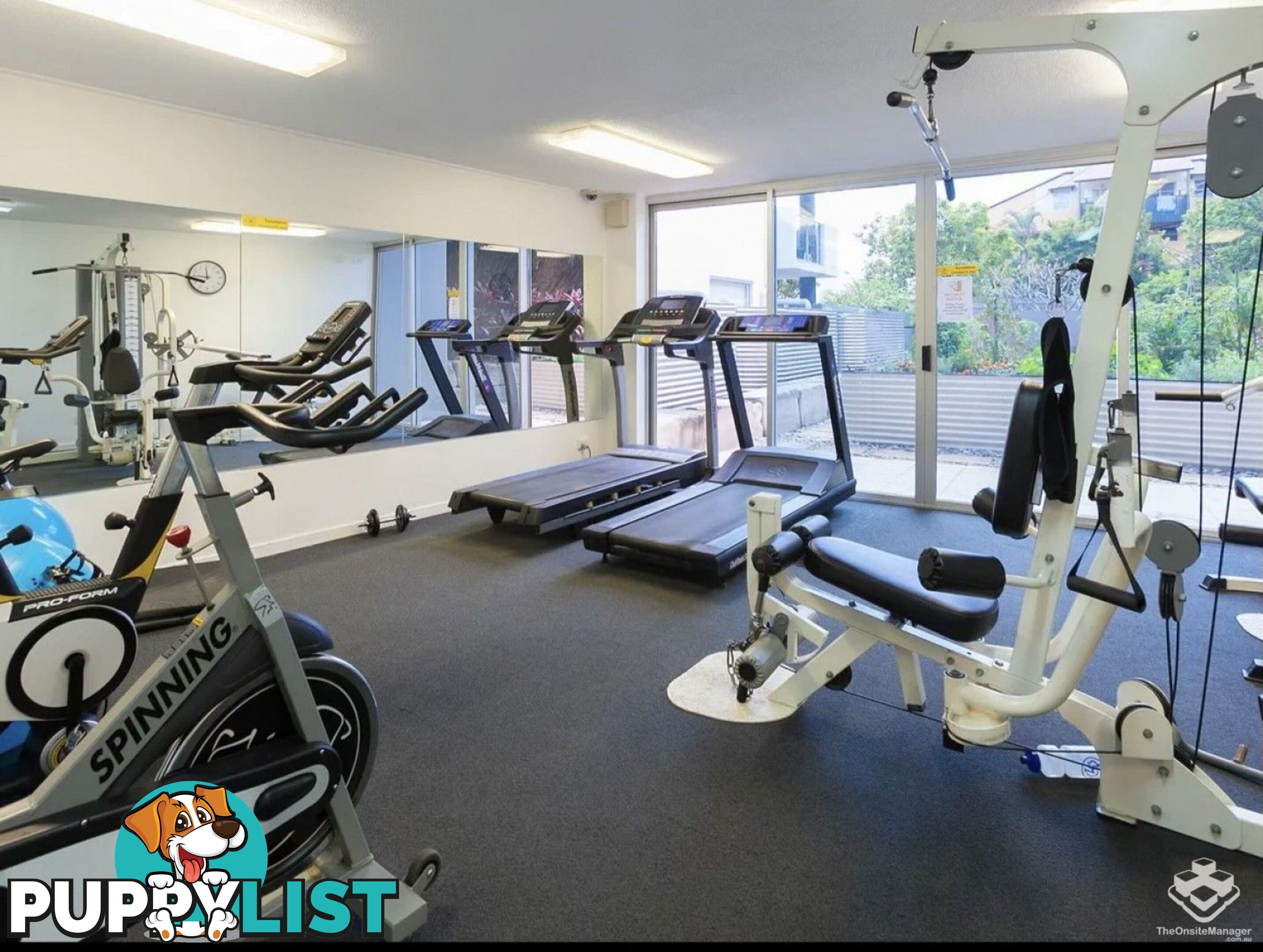 ID:21156891 51 Hope Street Spring Hill QLD 4000
