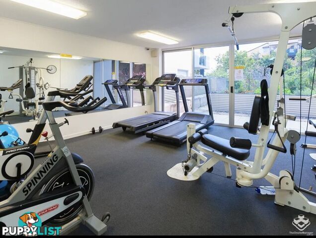 ID:21156891 51 Hope Street Spring Hill QLD 4000