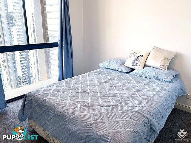 105 / 540 Queen Street Brisbane City QLD 4000