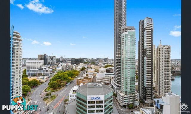 105 / 540 Queen Street Brisbane City QLD 4000