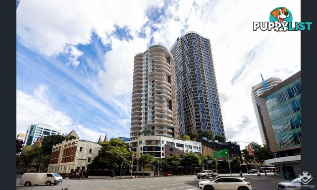 105 / 540 Queen Street Brisbane City QLD 4000