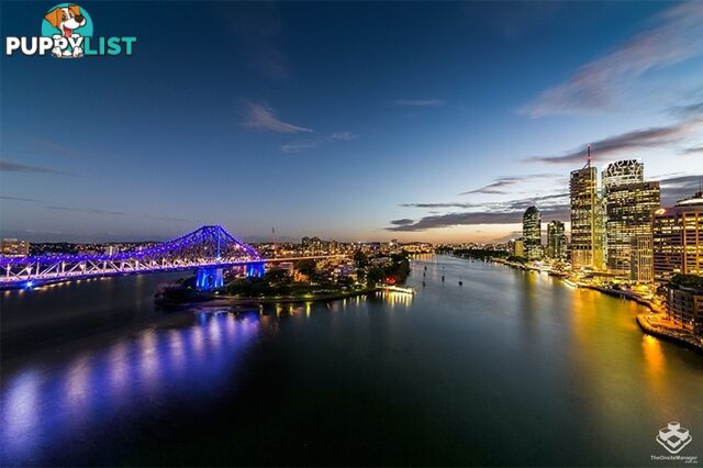 ID:3918536/32 Macrossan Street Brisbane City QLD 4000