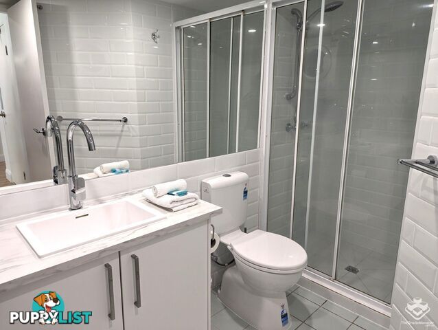 ID:21152574 35 Palm Avenue Surfers Paradise QLD 4217