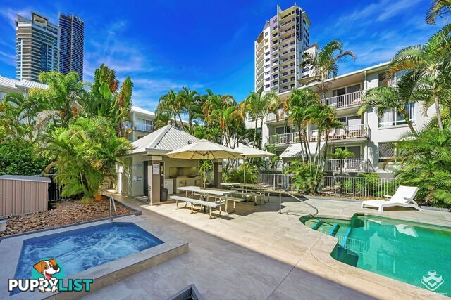 ID:21152574 35 Palm Avenue Surfers Paradise QLD 4217