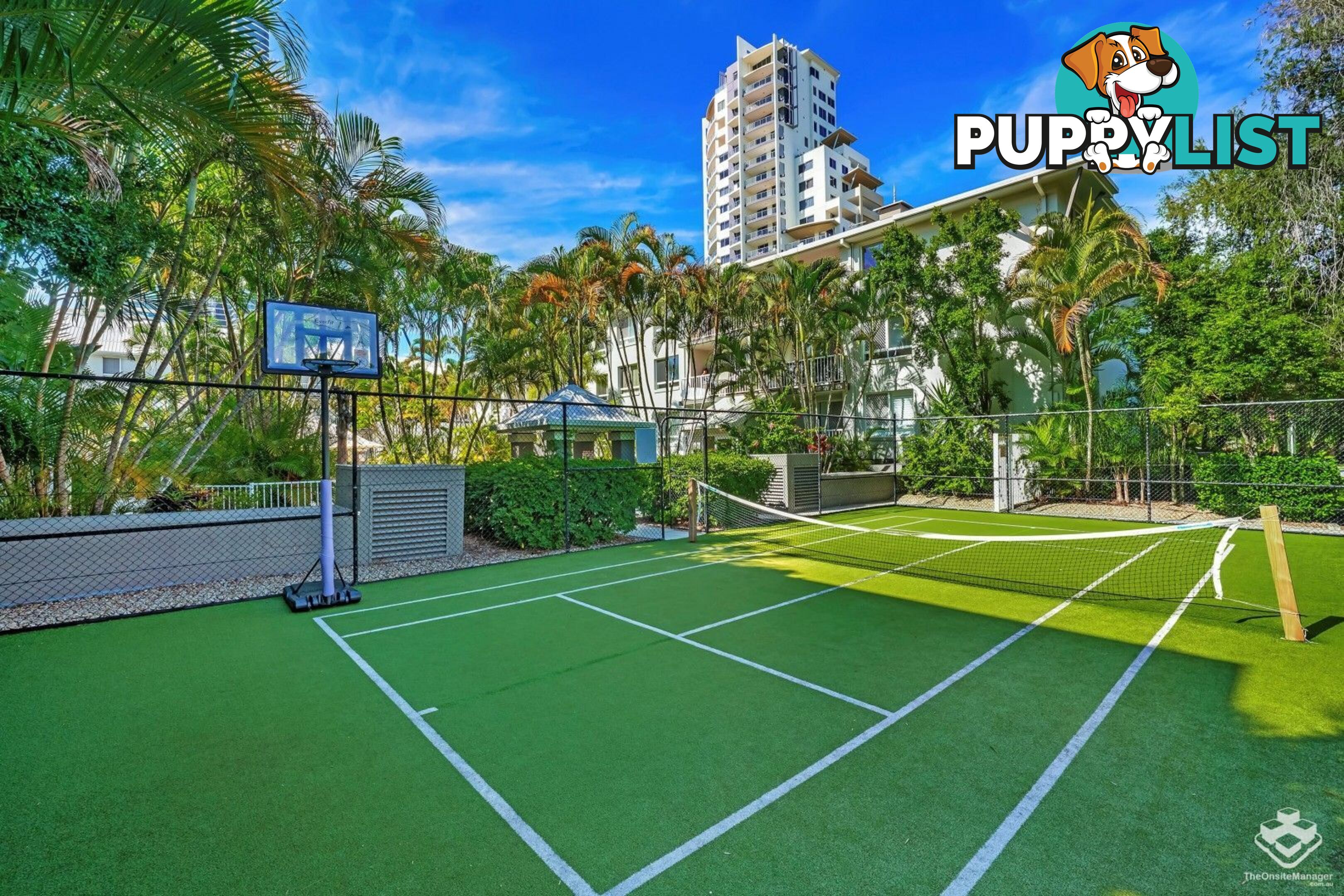 ID:21152574 35 Palm Avenue Surfers Paradise QLD 4217