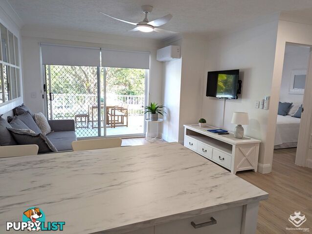 ID:21152574 35 Palm Avenue Surfers Paradise QLD 4217