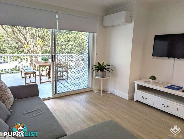 ID:21152574 35 Palm Avenue Surfers Paradise QLD 4217