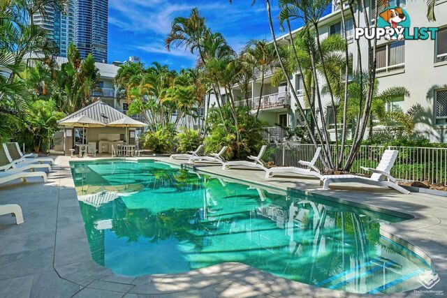 ID:21152574 35 Palm Avenue Surfers Paradise QLD 4217