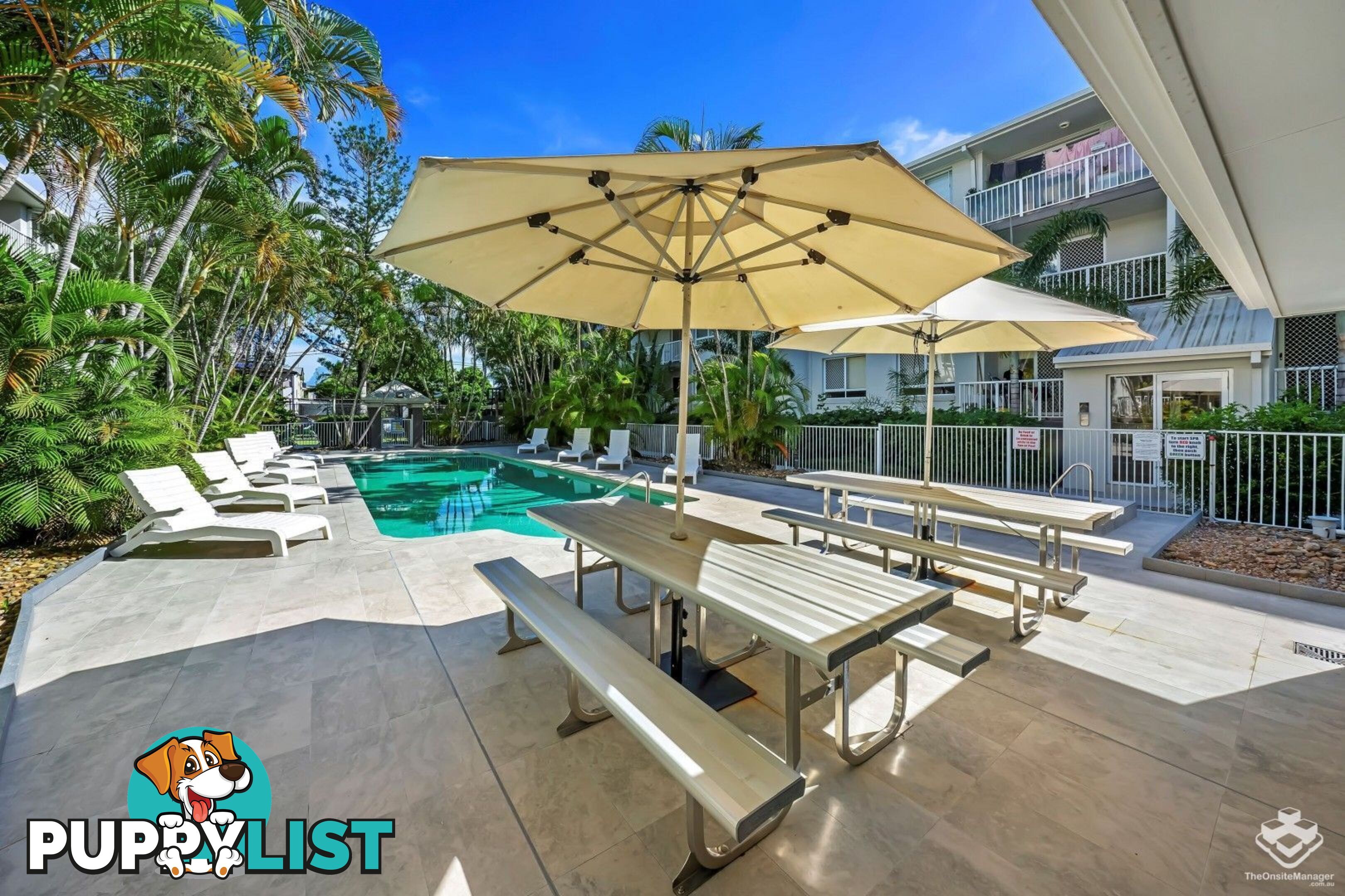 ID:21152574 35 Palm Avenue Surfers Paradise QLD 4217