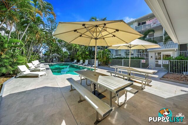 ID:21152574 35 Palm Avenue Surfers Paradise QLD 4217