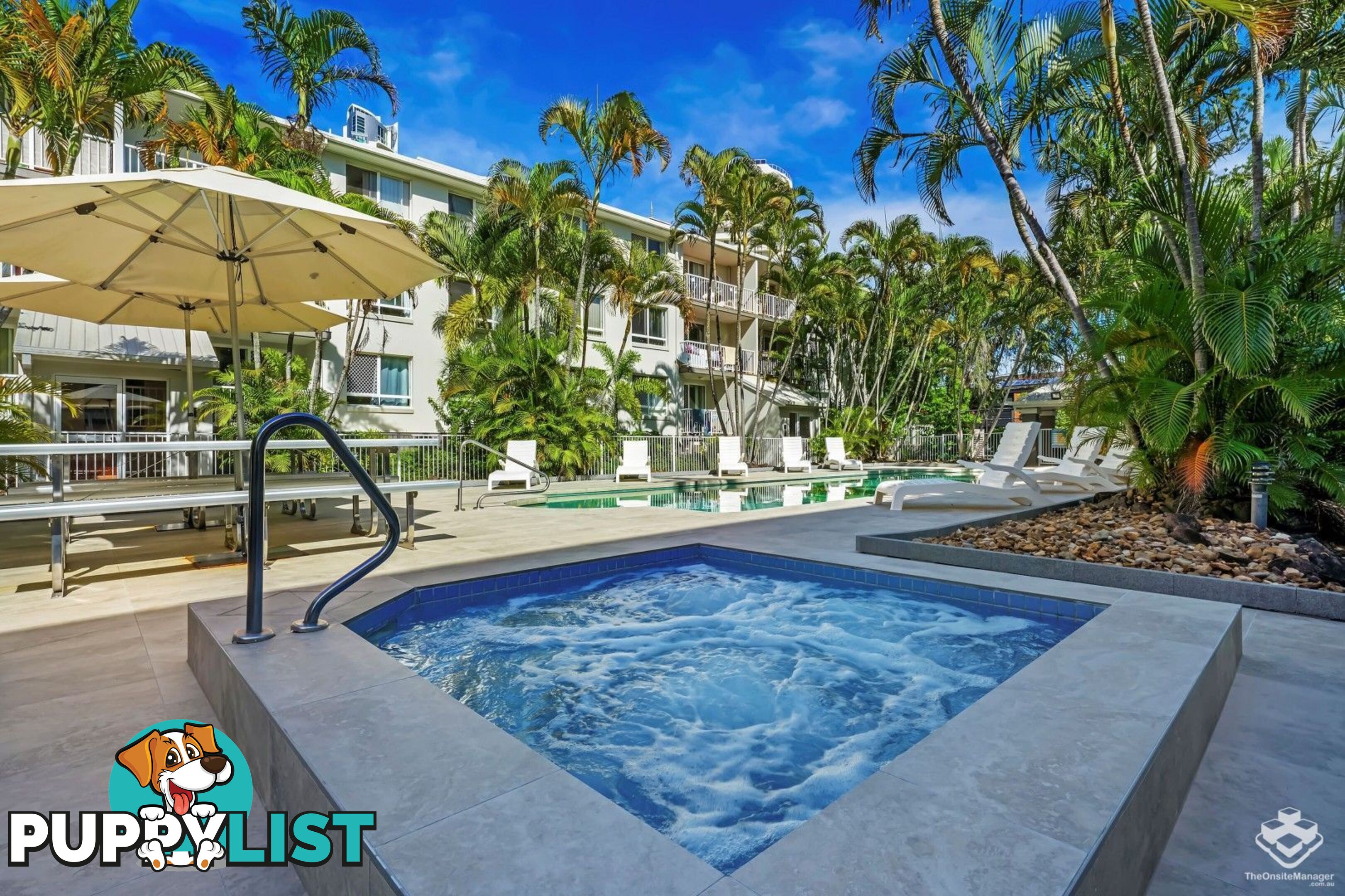 ID:21152574 35 Palm Avenue Surfers Paradise QLD 4217