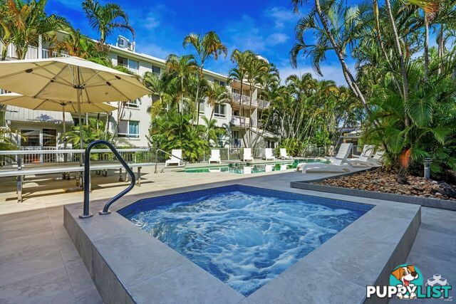 ID:21152574 35 Palm Avenue Surfers Paradise QLD 4217